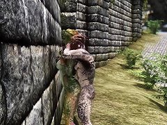 The Argonians Of Skyrim Engage In Sexual Activity In Solitude